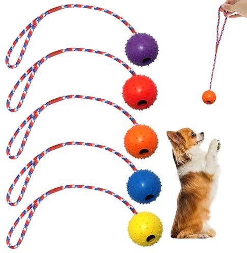 Zyluniy 5 stycken kasta bollar hund hundleksaker, ø 5 x 30 cm hundboll med snöre, naturgummiboll för hundar, kastleksak hund för stora och små hundar kasta