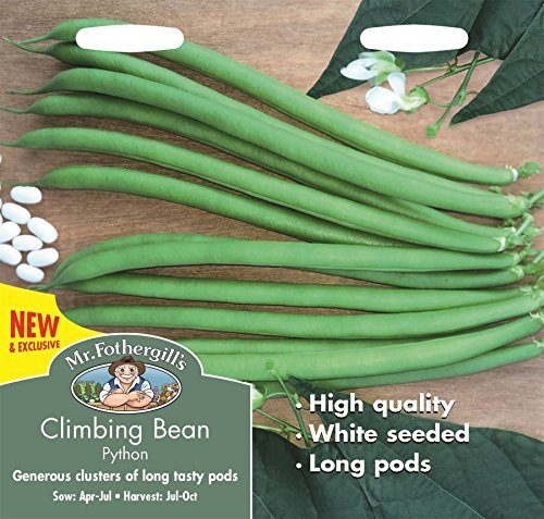 Mr Fothergill's Climbing Bean Python Seed, Green, 0.3 x 15 x 14.5 cm
