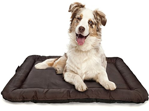 LAZY BAG Dog bed indoor and outdoor dog pillow dog basket; sleeping place for dog & cats; size M (75 x 52 cm)