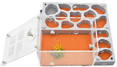 Natürliche Gips Ameisennest Ant Farm Ameisenfarm Acryl Ameisen Haus Villa Ameisenhaufen Werkstatt Ant Nest Ant House Kit Pädagogisches Formicarium Display Box (Size : C)
