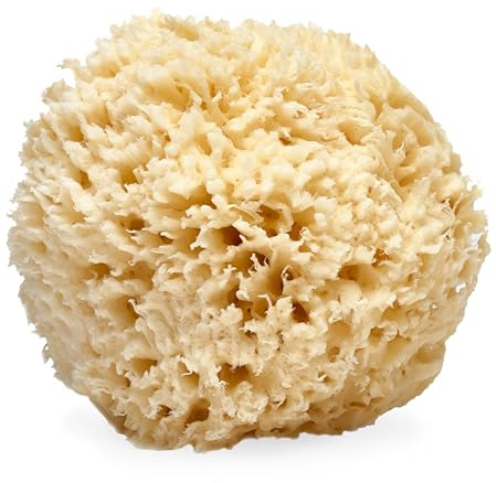 LATHER - Natural Sea Wool Sponge, 5-6 - Organic Exfoliating Body Scrubber - Soft, Gentle Cleansing - Hypoallergenic - All Skin Types - Florida Natural Loofah Sponge - Cruelty Free - Beauty & Skincare