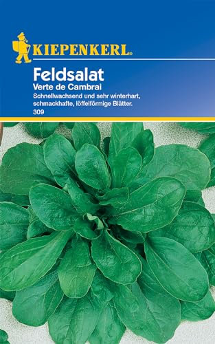 Kiepenkerl Feldsalatsamen Verte de Cambrai 309 - Gemüsesamen für einen schnellwachsenden und winterharten Feldsalat mit einem Inhalt für ca. 5 lfd. Meter - Saatgut