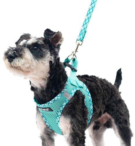 PUPTECK Small Dog Harness and Leash Set No Pull for XS XXS Sized Dogs Puppy