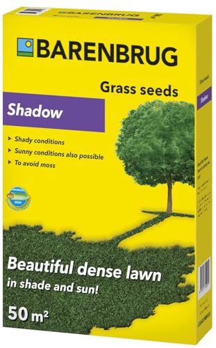 Barenbrug semi di erba da 1 kg a 50 m² - Rivestimento ombreggiato, adatto all'ombra e al sole, ideale per giocare e decorare all'ombra o al sole - Tappeto erboso denso contro muschio ed erbacce