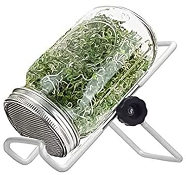 DAGLLGEW Kit Barattolo per germogliazione Mason Jars Set di germogli per Semi di germinazione con Supporto per Coperchio per la Coltivazione di Broccoli, germogli di Medica Kit Barattolo per germogl