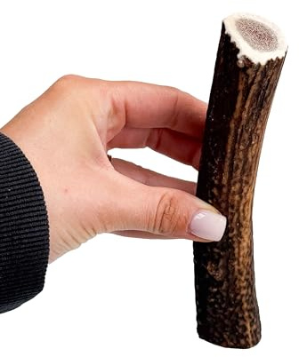 Antler Chew Antler Dog Chews Medium Plus (100-130g, From 14cm) Sanded, Naturally Shed, Ideal Toys for Moderate Chewers, Supports Dental Health, Long-Lasting