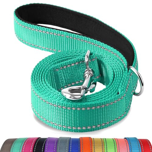Joytale Hundkoppel med vadderat handtag, reflekterande hundkoppel i nylon för träning, promenadkoppel för stora, medelstora hundar, 12 cm, blågrön