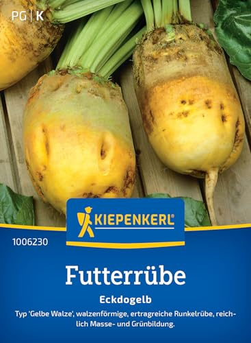 Kiepenkerl Futterrübensamen Eckdogelb 1006230 – walzenförmige, ertragreiche Runkelrübe mit Masse und Grünbildung - Gemüsepflanzen, Saatgut, Samen Gemüse