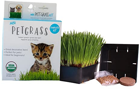Handy Pantry Organic Cat Grass Kit - Includes 1 Tray, 1 Soil Puck, and Non GMO Wheatgrass Seed - A Healthy Treat for Cats, Dogs, Rabbits, and More