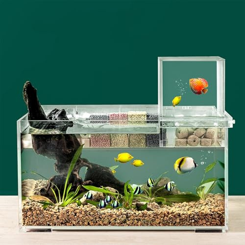 Negativt tryck fisktank – Nano fisktank med filter och | Rektangulär akvarietank med LED- | akvarium vatten även underhåll | vakuumavstängd akvarium