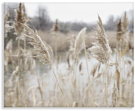 Stupell Industries 'Rural Pampas Grass Reeds Lakeside Pond Marsh', Canvas Art, 30 x 24 - USA Made Ready For Hanging