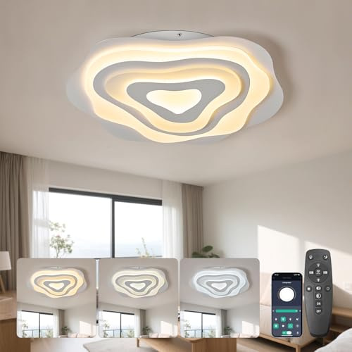 SUCIKORIO LED Taklampa Dimbar Med Fjärrkontroll 50cm Modern LED-taklampa Vardagsrum 48W Vardagsrumslampa 2700K-6500K Sovrumslampa Tak Med App För Sovrum, Kök, Hall, Badrum