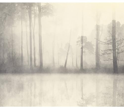 murando - Fototapete Premium-Vlies Wald 100x70 cm - Foto Tapete Schlafzimmer Wohnzimmer Moderne Vliestapete XXL Wandtapete Motivtapeten Bildtapete 3d Effekt Wand Dekoration Bäume Nebel Bach Landschaft