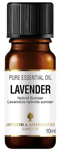 Amphora Aromatics Lavender Hyb. Sumian Essential Oil 10mls