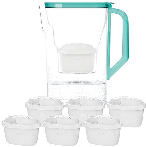 Wessper Caraffa Filtrante con Filtri, Caraffa per Frigorifero da 2,7 Litri, Cartucce per Acqua con Carbone Attivo e Rresina a Scambio Ionico, Caraffe e set di 6 Filtro - Menta