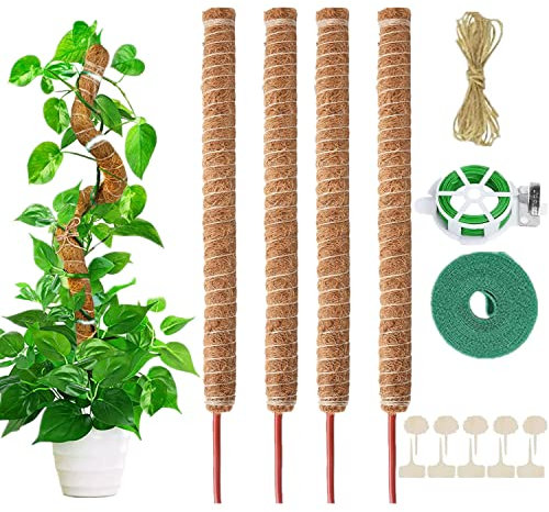 AIQII 4 Pack 70cm Pflanzenstab Moosstab Monstera Rankhilfe Biegsame Moosstab Monstera Stab Pflanzstab Monstera für Kletterpflanzen Pflanzenname Pflanzzeit Pflanzenunterstützung