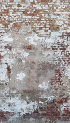 livingwalls Backstein-Fototapete – Grün, Braun – Wandbild XXL 2,80 x 1,59 m