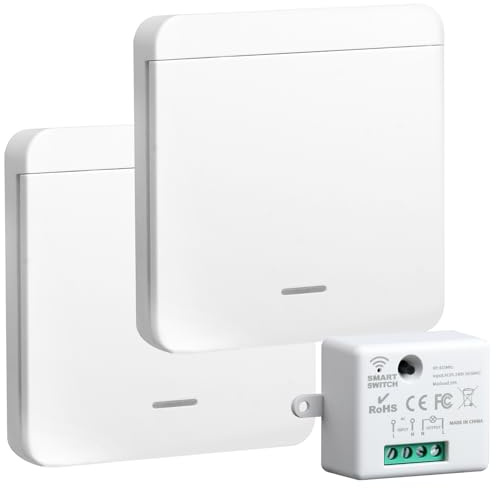220V Interruptor de Luz Inalámbrico con 2 Interruptor y 1 Receptor, 433MHZ Kit de Interruptores de Luces Inalámbricas para Lámparas, Sin Cableado