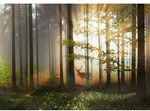 Runa Art Fototapete Wald Hirsch 352 x 250 cm Vlies Tapeten XXL Moderne Wandtapete Wohnzimmer Schlafzimmer Grün Gelb 9387011b