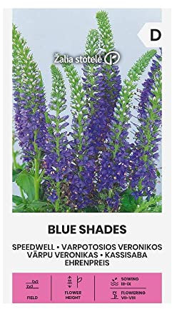 Zalia stotele | VERONIQUE | NUANCES DE BLEU des Graines | Graines de Fleurs | Graines de Plantes | Graines de Jardin | 1 Paquet