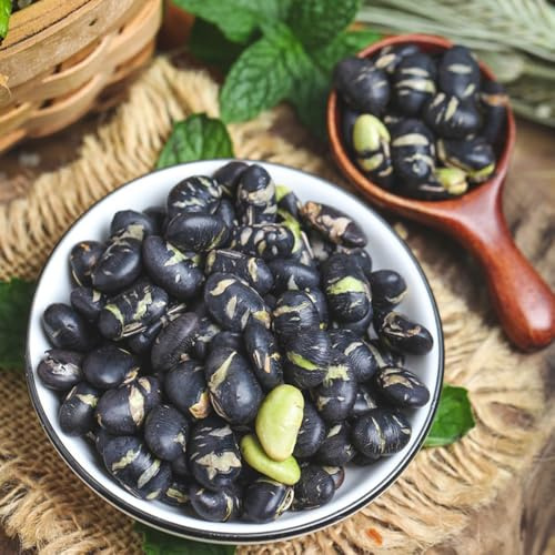 semillas de frijol negro decoración de balcones perennes resistentes medicinales jardín semillas interior bonsái orgánicas 250pcs