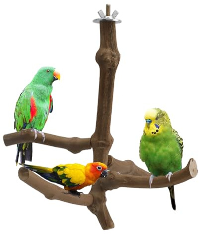 QZDAFFIC 5 pezzi pappagallini ondulati in legno d'uva naturale, posatoi per gabbie per uccelli, accessori per parco giochi per uccelli, canarino
