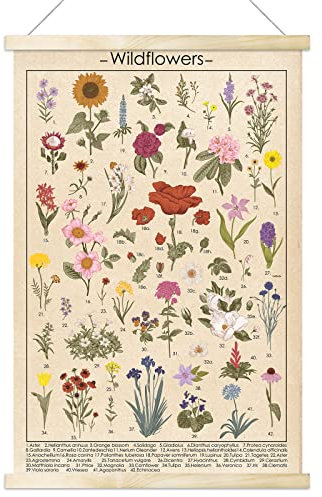 Vintage Wildflowers Poster Botanical Wall Art Prints Colorful Rustic Style of Floral Wall Hanging Illustrative Reference Flower Chart Poster for Living Room Office Classroom Bedroom Playroom Dining