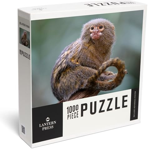 Lantern Press Puzzle Pygmy Marmoset Monkey