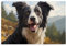 Puzzles de 1000 pièces Yyhwhjde Border Collie Imprimés Puzzles éducatifs intellectuels en bois Puzzles amusants Jeu anti-stress