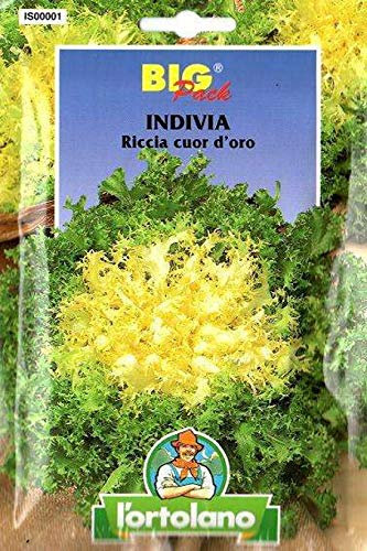 L'ORTOLANO Sementi Orticole Di Qualità In Busta Termosaldata (160 Varietà) (Indivia Riccia Cuor D’Oro)