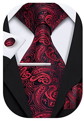 Barry.Wang Herren Krawatte Einfarbig Paisley Uni Schlips Satin Mit Einstecktuch Hochzeit Krawattenset