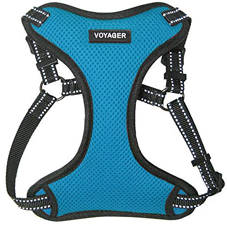 Voyager Verstellbares Hundegeschirr mit Reflektorstreifen by Best Pet Supplies - Strapazierfähige Ganzkörperweste ohne Zugkraft mit Leinen-D-Ring, atmungsaktiv, Türkis, size M