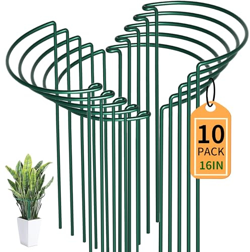 SYITCUN 10 supporti per piante perenni, semicircolari (25 x 40 cm), robusti supporti da giardino in metallo da 4 mm, per fiori, piante rampicanti e piante perenni