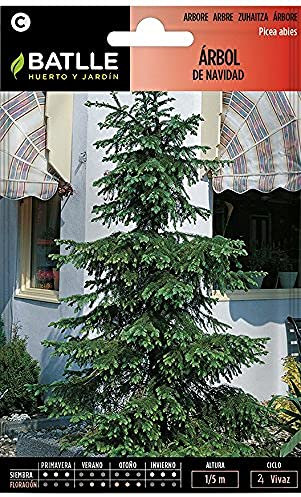 Semillas Batlle Arbol de Navidad - Picea abies