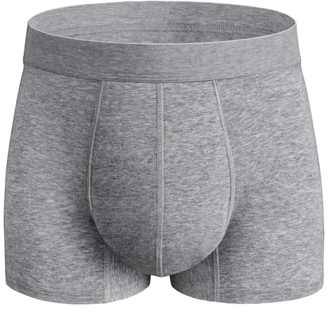 REELINDRY Washable Incontinence Underwear for Men, 2.3 oz Leak Proof Absorbent Protective Briefs for Bladder Control 1 Pack (Gray, XL)