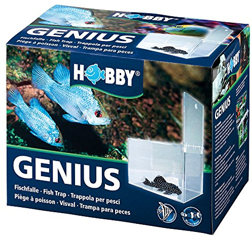 Hobby 61340 Genius, fiskfälla, 21 x 13 x 15 cm