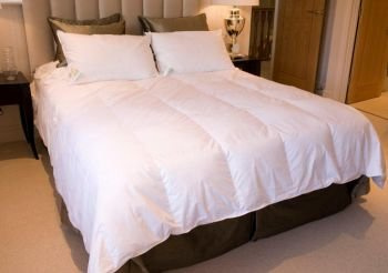 SleepyNights Soft As Down 13.5 Tog Plush Microfibre Hypo Allergenic Opulent Duvet Quilt - Single