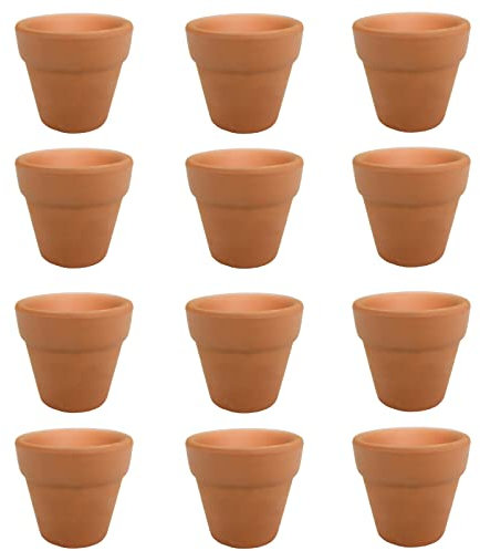 Molyorch 12 vasi in terracotta, vaso in terracotta rossa, piccoli vasi per piante in terracotta, set di vasi in argilla, per la decorazione della casa e dell'ufficio (3 x 3 cm)