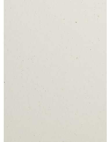 Netuno 10x cartoncino ecologico avorio formato A4 21 x 29,7 cm 240g Flora Avorio cartoncino riciclato per biglietti da visita menu biglietti augurali partecipazioni inviti bomboniere