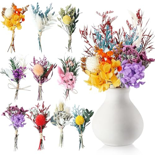lomdung 10 st mini torkade buketter, naturliga torkade mini blombuketter, blommaskopor för ram, små torkade blommor, dekorativa små torkade blommor, för hem trädgård fest kontor för gör-det-själv