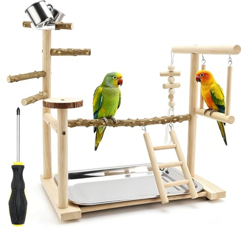 Parco giochi per uccelli pappagallino ondulato parco giochi pappagallino giocattolo uccello accessori per uccelli giocattoli per pappagalli uccello giocattolo albero uccello uccello gioco stand