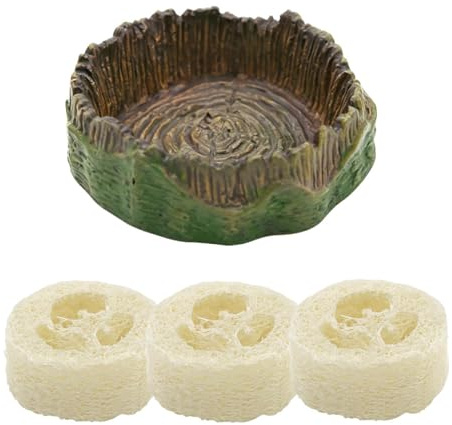 Cuenco de alimentación para cucarachas | Plato de alimentación de reptiles con , lavabo de de reptiles, para Isópodo, araña, , coleta, cucaracha, terrario