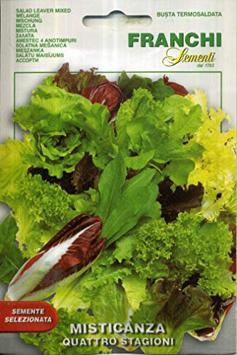 SEMENTI DI ORTAGGI DI QUALITA' PER USO HOBBYSTICO IN BUSTINA TERMOSALDATA (MISTICANZA QUATTRO STAGIONI)