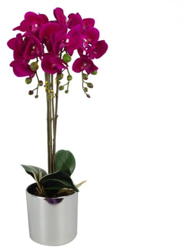 Leaf Design UK realistisk konstgjord orkidé blomma display i kruka