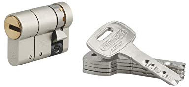 THIRARD - Demi-cylindre de serrure Federal S, 30x10mm, nickel, anti-arrachement, anti-perçage, 5 clés