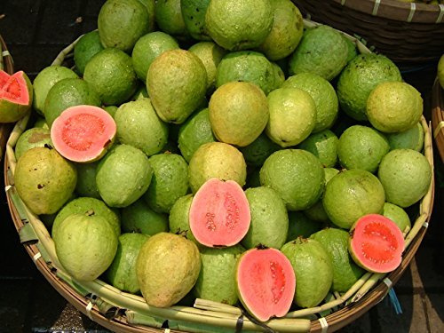 * 15 Dwarf Pineapple/Strawberry Guava Seeds ** #1080