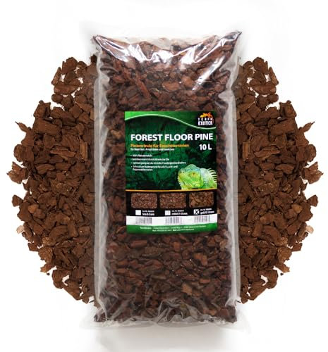 Terra Exotica Forest Floor Pine 10/20 Liter in fein, mittel, grob - Pinienrinde als Einstreu für Terrarien - Terrarienbodengrund für Reptilien, Amphibien und Insekten (10 Liter, grob)