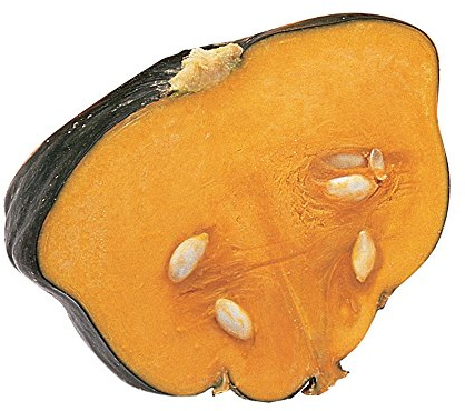 Burpee Buttercup Burgess Strain Winter Squash Seeds 30 seeds
