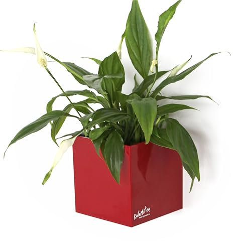 KalaMitica - Magnetic Cube, Cachepot, Marker Holder for Whiteboard, Organizer - Ø 9 cm, Red