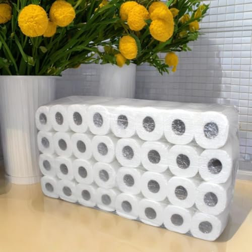 Großpackung mit 64 Rollen Toilettenpapier | 2-lagig | weich, angenehm, günstig | je 250 Blatt | 100% Zellstoff | empfohlen für Hotel und Gastronomie |